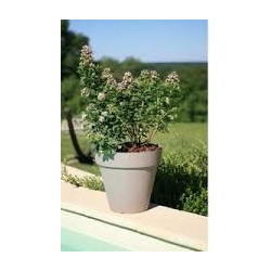 BAC PATIO ROND 50 GRIS PAILLETE