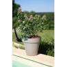 BAC PATIO ROND 50 GRIS PAILLETE BAC PATIO ROND 50 GRIS PAILLETE