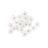 24 Marguerites Velours Blanc et Perle Or