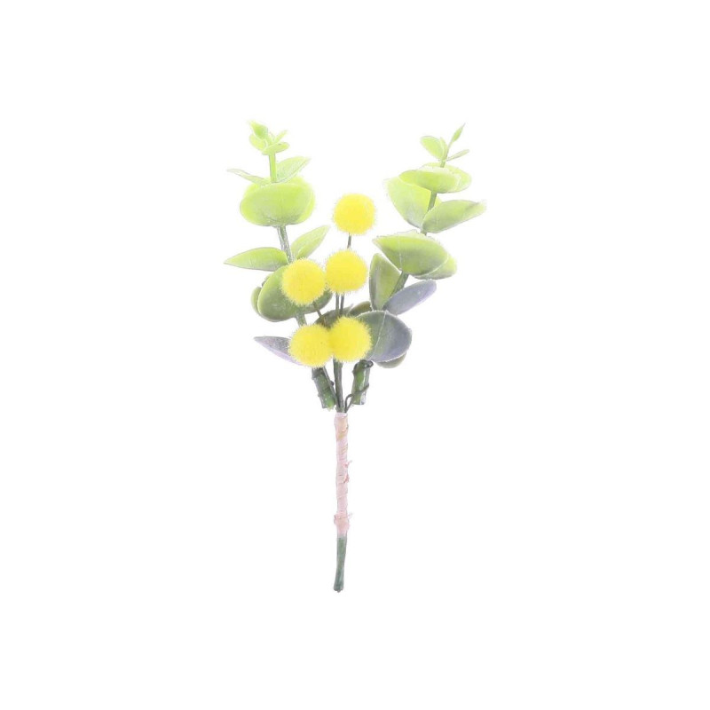 Branche de Mimosa et Eucalyptus, Jaune e