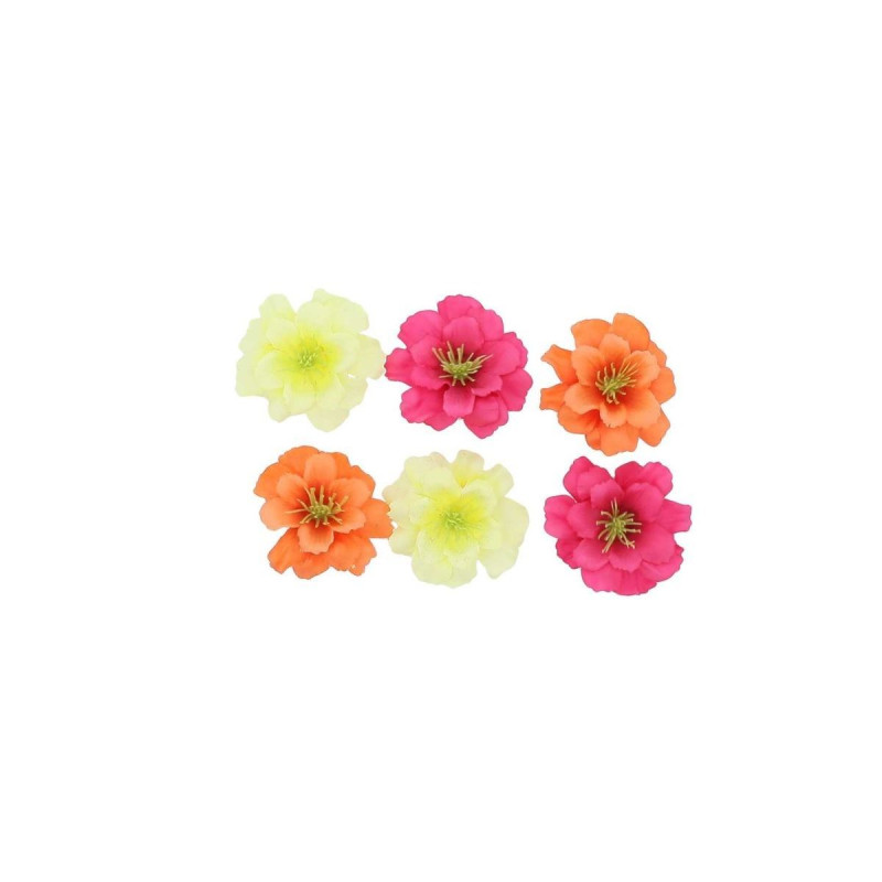 6 Fleurs de Cerisier Framboise, Orange e