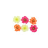 6 Fleurs de Cerisier Framboise, Orange e