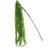 Branche d'Amarantes Tombantes - Vert 1,3