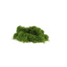 Mousse Végétale Synthétique - Vert 100g