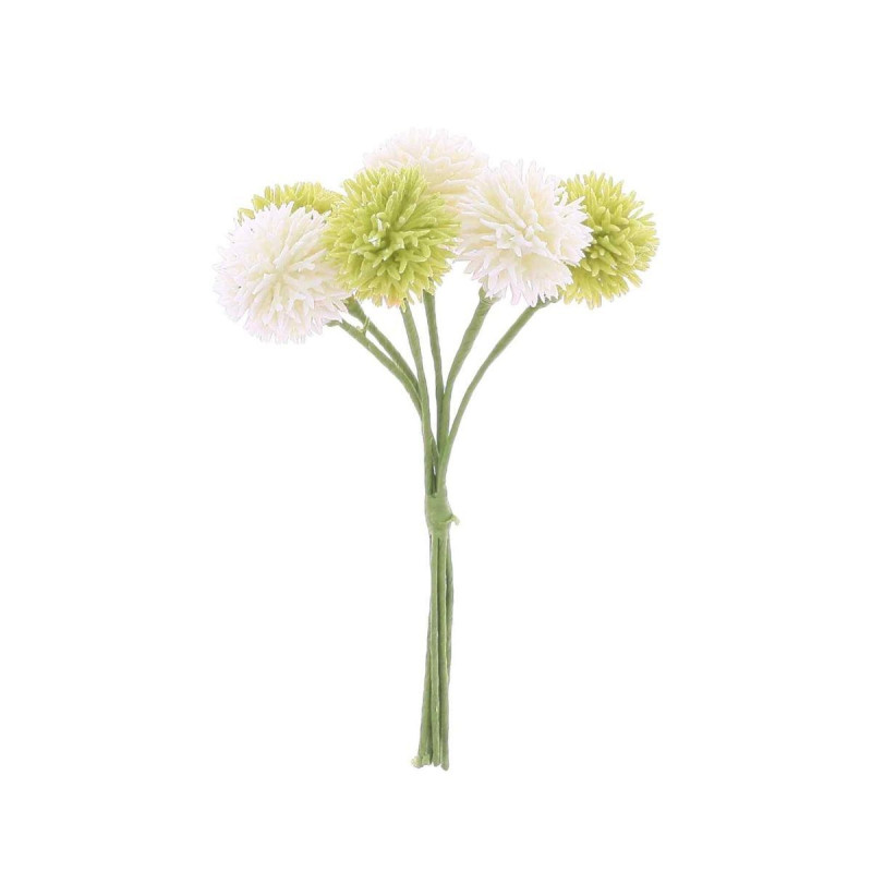 6 Trèfles des Prés Blanc et Vert sur Tig