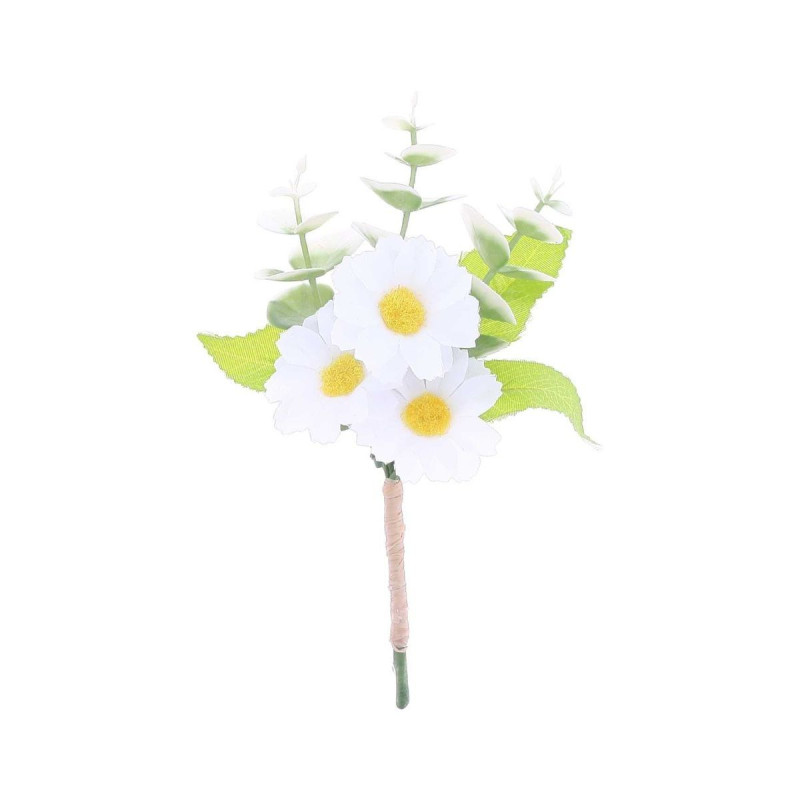 Branche de Marguerites et Eucalyptus Bla