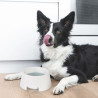 Gamelle Anti-Éclaboussures 500 ml | Propreté Coin Repas Chien & Chat Gamelle Anti-Éclaboussures 500 ml | Propreté Coin Repas Chien & Chat
