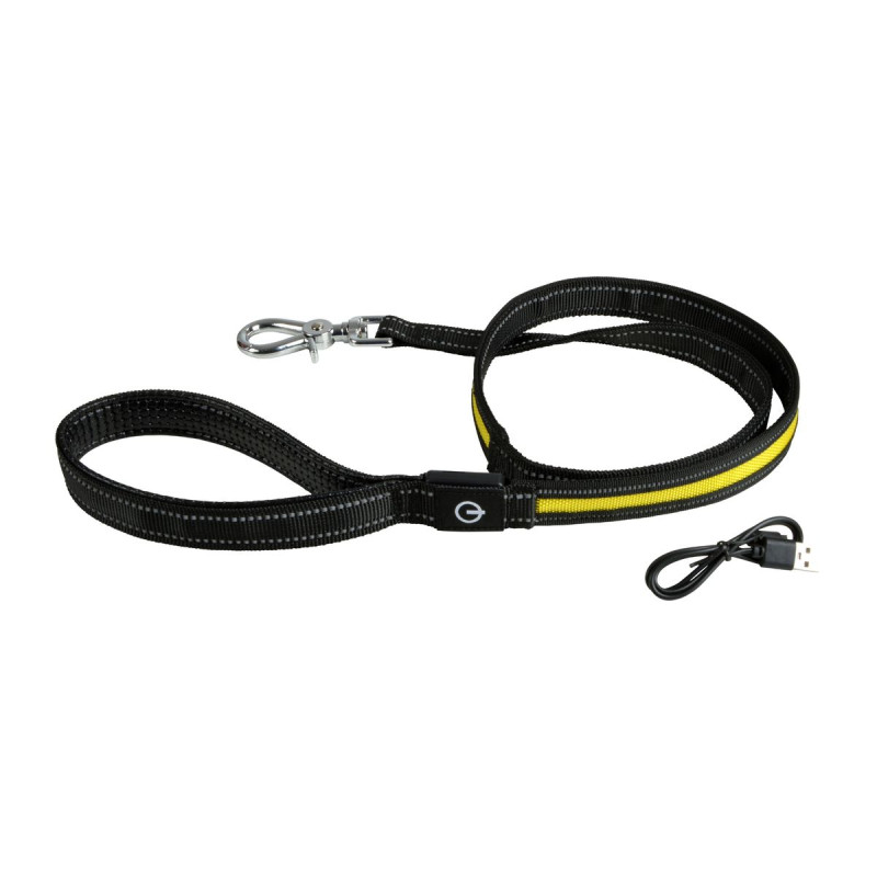 Laisse Lumineuse LED Rechargeable 120 cm | Sécurité & Visibilité Chien Laisse Lumineuse LED Rechargeable 120 cm | Sécurité & Visibilité Chien