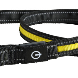 Laisse Lumineuse LED Rechargeable 120 cm | Sécurité & Visibilité Chien