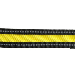 Laisse Lumineuse LED Rechargeable 120 cm | Sécurité & Visibilité Chien