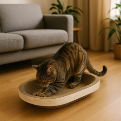 PANIER GRIFFOIR OVAL CARTON IMPRIME 55*3
