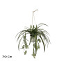 POT SUSPENDU MISERE 70CM