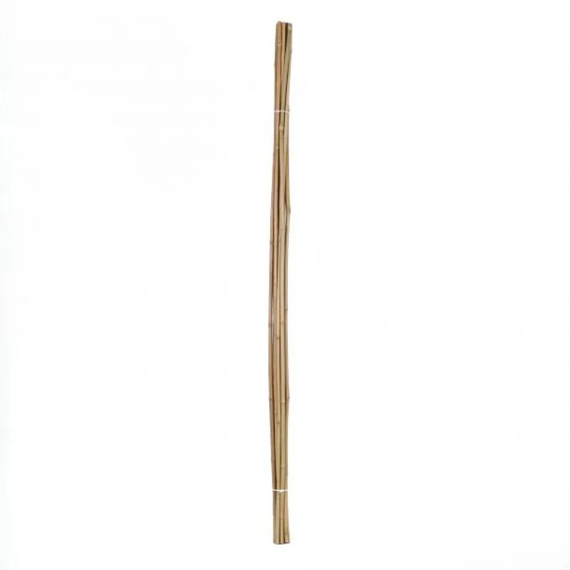 Lot de 10 Tuteurs en Bambou Naturel H120 cm | Soutien Plantes