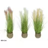 HERBES DE PAMPAS EN PANIER POT H69CM