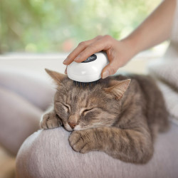 BROSSE VAPEUR ATTRAPPE-POILS POUR ANIMAU