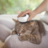 BROSSE VAPEUR ATTRAPPE-POILS POUR ANIMAU