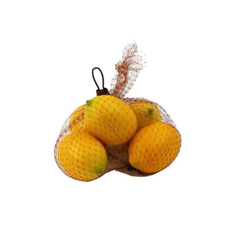 FILET 5 CITRONS 13X10CM
