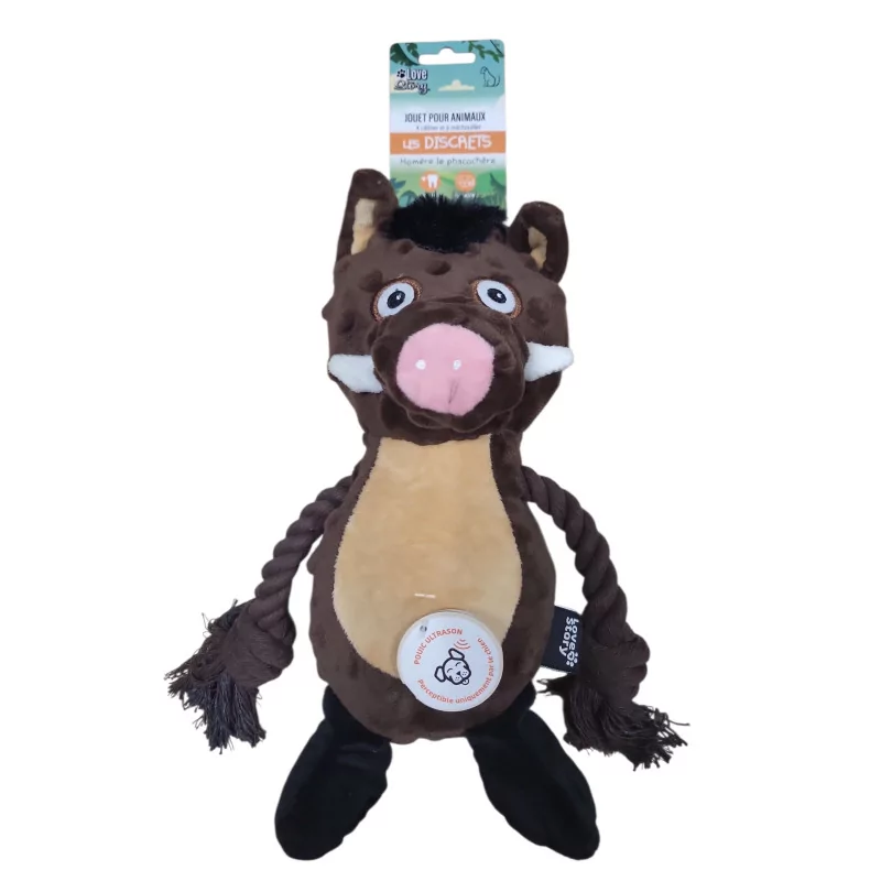 JEU CHIEN PHACOCHERE COUIN SILENC ULTRAS