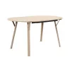 Table Extensible Terra Nova 150 à 210 cm – 6 à 8 Personnes – Décor Bois Clair Table Extensible Terra Nova 150 à 210 cm – 6 à 8 Personnes – Décor Bois Clair