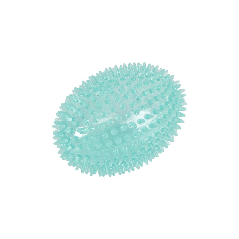 Jouet Dentaire Balle Ovale Sonore Chien TPR Bleu 12cm Jouet Dentaire Balle Ovale Sonore Chien TPR Bleu 12cm