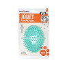JOUET DENTAIRE BALLE OV SONORE PICOTS BL