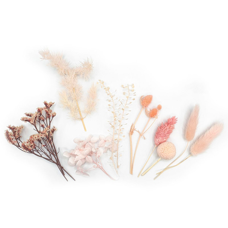 Fleurs séchées coloris rose x 10 pcs