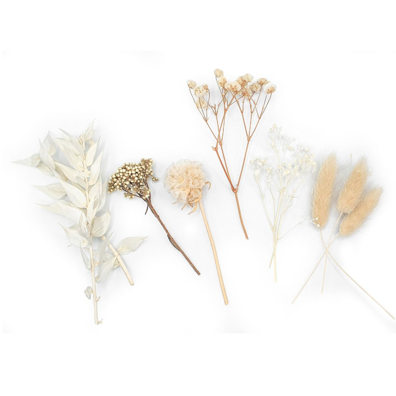 Fleurs séchées coloris blanc x 10 pcs