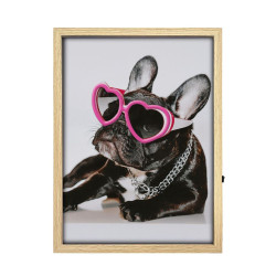 TOILE NEON CHIEN LUNETTES 30X40CM