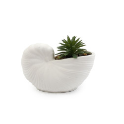 Plante Succulente Artificielle Pot Coquillage 12.5x9 cm