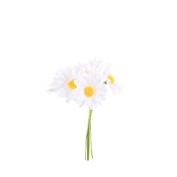 Marguerites X6 sur Tige Blc/Jaune D4,5