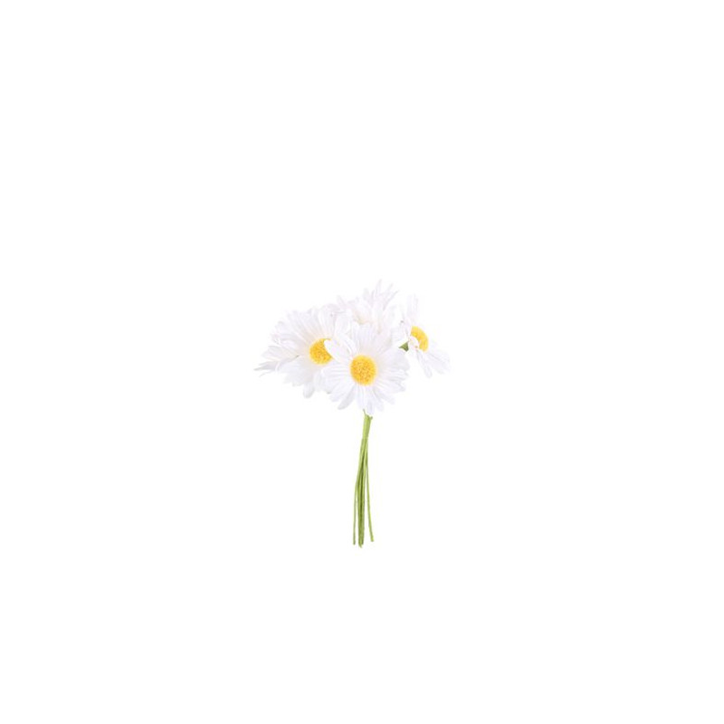 Marguerites X6 sur Tige Blc/Jaune D4,5