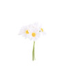 Marguerites X6 sur Tige Blc/Jaune D4,5