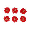 6 Poinsettias Pail. avec Adhésif Velours