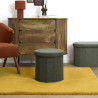 COFFRE POUF PLI COTELE JULES VERT