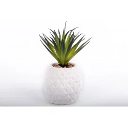 Succulent En Pot Ananas 9.5x22x9cm