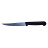 COUTEAU STEAK MICRODENTE MANCHE POLYPRO