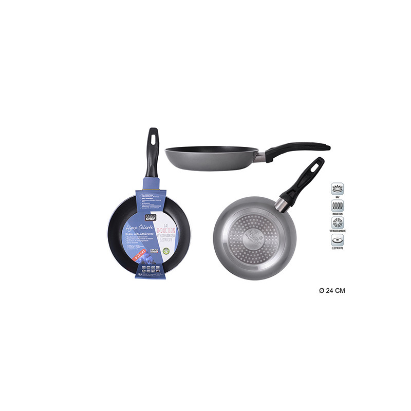 POELE ALU CELESTE INDUC D24/2.5GRIS POELE ALU CELESTE INDUC D24/2.5GRIS