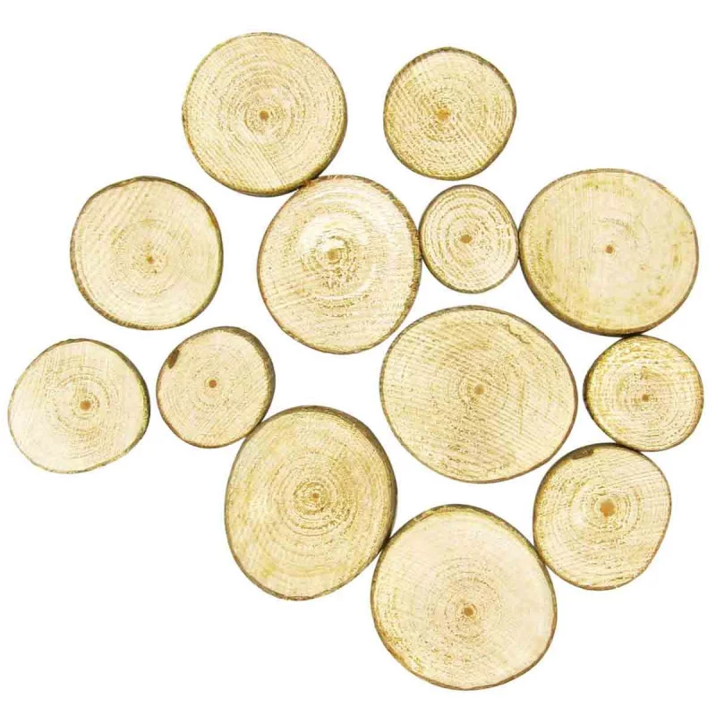 TRANCHES DE BOIS RONDES 2,5 A 5 CM X 7 P