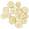 TRANCHES DE BOIS RONDES 2,5 A 5 CM X 7 P