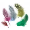 PLUMES 10 CM ASSORTIMENT MULTICOLORE - 5